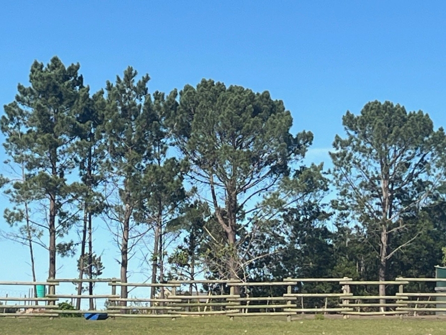 Commercial Property for Sale in Plettenberg Bay Rural Western Cape